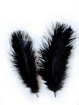 ПЕРА СТРАУСА - ЧЕРНЫЕ 15/20СМ