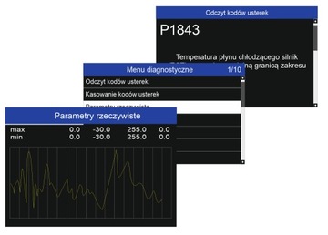 Vident iEasy310Pro, ручная самодиагностика Чехия, Словакия