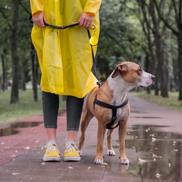 ДОЖДЕВИК ДОЖДЕВИК В ШАРЕ С КРАБИНЕРОМ