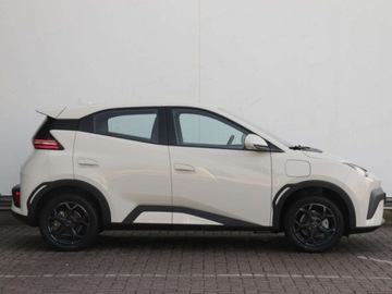 BYD 2025 BYD Dolphin Surf Boost Hatchback (88 KM) 2025, zdjęcie 2