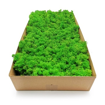 Mech chrobotek Alpejski 500g