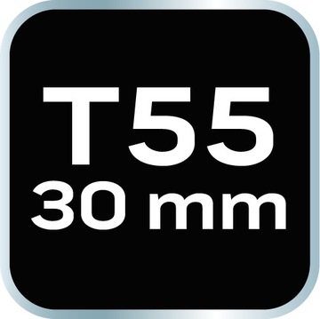 Биты TORX T55 x 30 мм, S2 x 2 шт.