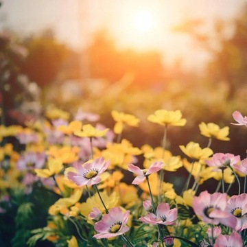 Шрот БАЗАЛЬТОВЫЙ ЯД УЛИТКИ ТЛИ 10кг ЭКО