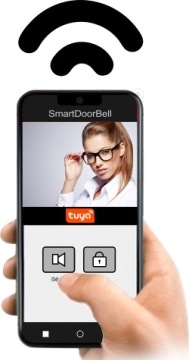 Видеодомофон 10