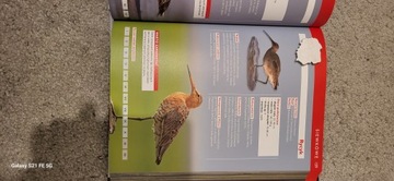 Большой атлас польских птиц