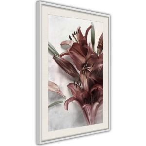 Nowoczesne Obrazy Botaniczne 40x60 Rama biała