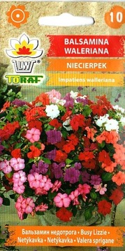 NIECIERPEK WALERIANA MIESZANKA 0,1 g 'TORAF