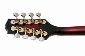 M-5E МАНДОЛИНА - ЭЛЕКТРОАКУСТИЧЕСКАЯ + БЕСПЛАТНЫЕ ПОДАРКИ