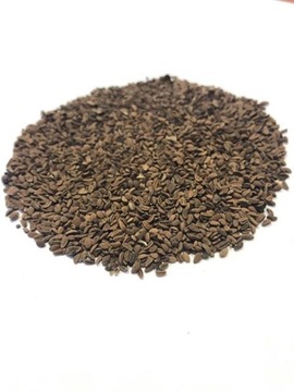 FACELIA błękitna 3kg