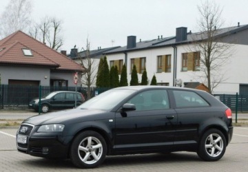 Audi A3 8P Hatchback 3d 2.0 TDI PD 170KM 2007 Audi A3 3-drzwiowe 2.0TDi Quattro Podgrzewane Fotele 2.0 Diesel 170KM, zdjęcie 28