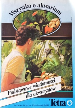 Wszystko o akwarium Podstawowe wiadomości