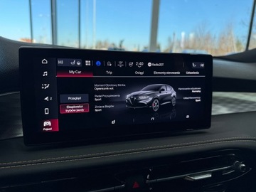 Alfa Romeo Tonale 2024 Alfa Romeo Tonale Veloce / Kamera 360° / ACC / Naw, zdjęcie 28