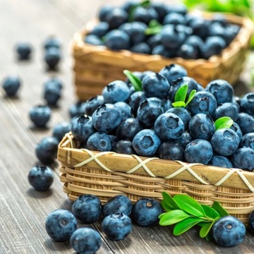 ZIEMIA PODŁOŻE DO BORÓWKI 50L NAWÓZ TORF KWAŚNY