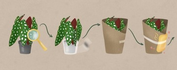 Смесь Бигос Субстрат для Алоказии ПРЕМИУМ 3л