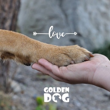 ЛЮКС, АВТОКРЕСЛО ЛЮКС ДЛЯ СОБАК М