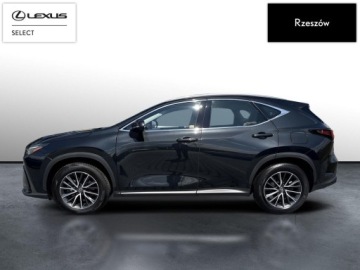Lexus NX II SUV Facelifting 2.5 350h 243KM 2024 Lexus NX 350h Elegance 2WD II (2021-) NX350h Elega, zdjęcie 1