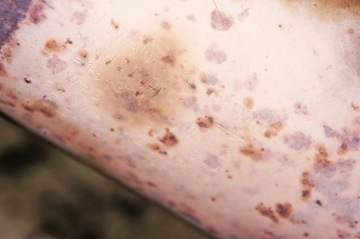 MJ165 Skoda Octavia III RS 2.0TSI Катализатор