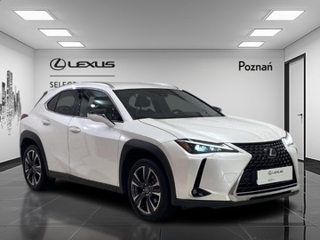 Lexus UX Crossover Facelifting 2.0 250h 184KM 2023 Lexus UX 250h GPF Business 2WD Lexus UX 250h GPF B, zdjęcie 6