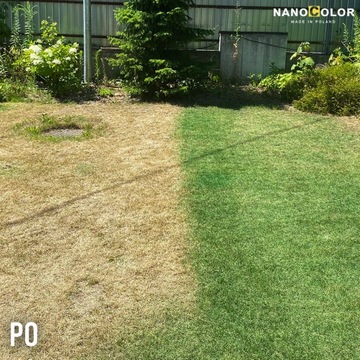 Наноцветная КРАСКА GRASS STRONG GRASS зеленая 1л
