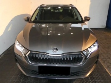 Skoda Octavia IV Kombi 2.0 TDI 150KM 2026 SKODA Octavia Edition 130 Essence 2.0 TDI DSG 150KM 2026, zdjęcie 1