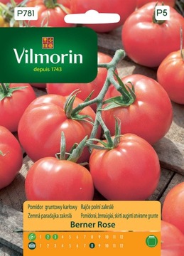 POMIDOR GRUNTOWY KARŁOWY BERNER ROSE 0,2g VILMORIN