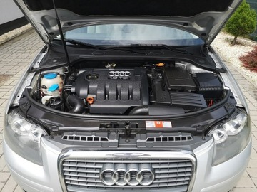 Audi A3 8P Hatchback 3d 1.9 TDI 105KM 2007 Audi A3 1.9 TDI 105KM Klima Elektryka Po wymianie, zdjęcie 22