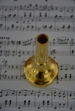 Денис Вик позолоченные экраны для Puzon/Euphonium - Size 4abl