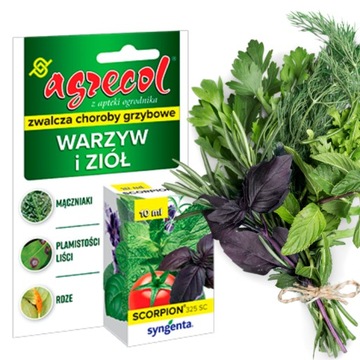 Oprysk do warzyw i ziół na rdzę Scorpion325SC 10ml