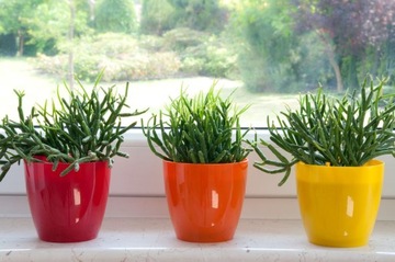 DONICZKA DONICA Z PODSTAWKĄ NA KWIATY OSŁONKA OKRĄGŁA 16 cm PLASTIK ŻÓŁTA