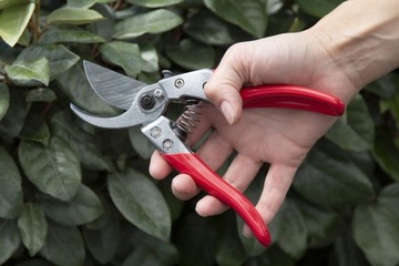 EUROFLORA ARS VS-9XZ Секаторы