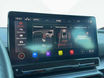 Cupra Formentor Crossover 2.0 TSI 310KM 2023 Cupra Formentor Tribe Edition, Matrix, Hak, Beats, Panorama, Kamera 360 2.0, zdjęcie 28