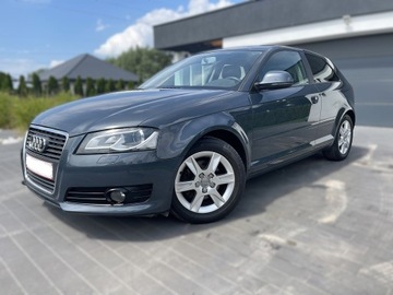 Audi A3 8P 2008 A3 Lift 1.4 Benzyna 2008 r. Serwis Po Opłatach Nowy Rozrząd