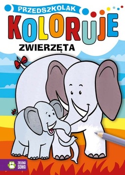PRZEDSZKOLAK KOLORUJE ZIELONA SOWA ZWIERZĘTA