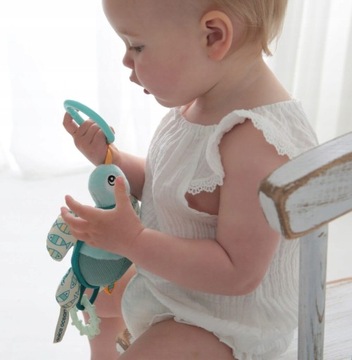 DOLCE TOYS ПОДАРОК ​​НОВОРОЖДЕННОМУ, ЧЕРЕПАХА, ЧЕРЕПАХА