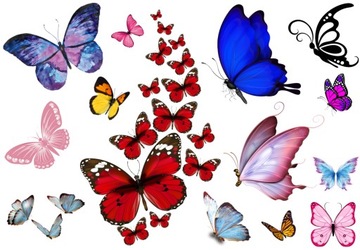 TATUAŻE ZMYWALNE DLA DZIECI PREZENT MOTYLKI MOTYLE MOTYL