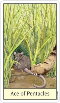 Карты Таро «Кошачий глаз» Дебры М. Гивин