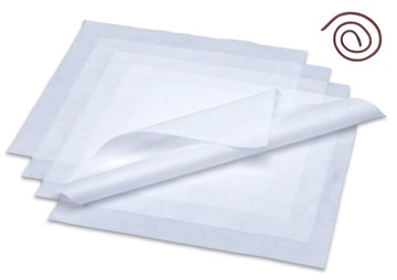 ŚCIERECZKI BEZPYŁOWE POLIESTROWE CLEANROOM chusteczki 10x10cm 100 szt.
