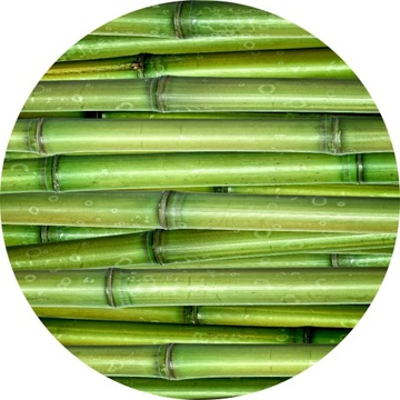 podkładka pod krzesło okrągła 100cm zielona bambus