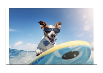 Odbitki 1 zdjęcie A3 wywołanie zdjęć wywoływanie