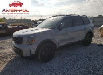 Kia 2025 Kia Telluride Ex 2025 3.8l 3.8 Benzyna 291KM