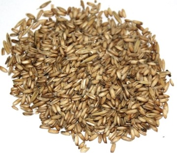 Owies Bezłuskowy, Owies Nagi paszowy 1kg