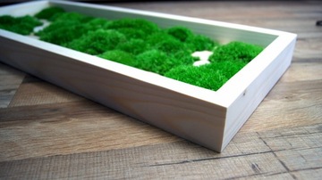 Картина продолговатой формы, рама, подушка из мха, дерево, 30/60 см.