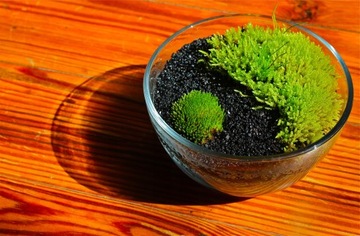 ЧЕРНЫЙ ДЕКОРАТИВНЫЙ ПЕСОК 0,8-1,2