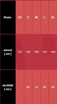 МУЖСКАЯ ФУТБОЛКА NIKE THERMOACTIVE DRY FIRST, размер XL