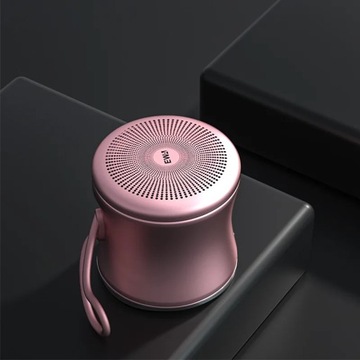 EWA A119 Bluetooth Speaker Ultra Mini Portable IPX7 Waterproof Small Steel