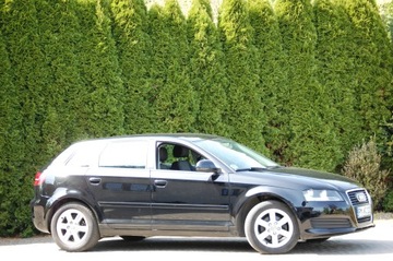 Audi A3 8P Hatchback 3d 1.6 102KM 2010 Audi A3 Lift Automat 5drzwi1.6MPI Klimatronic Alu Lato+Zima, zdjęcie 9