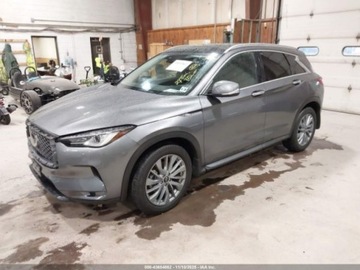 Infiniti QX50 2025 Infiniti QX50 Luxe 2025 2.0L 2.0 Benzyna 268KM, zdjęcie 1