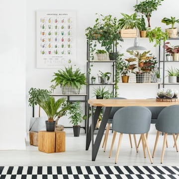 Плакат Смузи - Коктейли