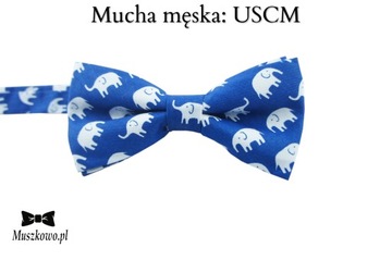 Chabrowe Szelki i mucha męskie w kropki WZORY DO WYBORU!