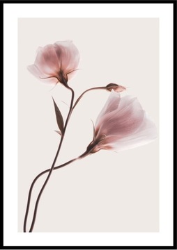 PLAKAT 50x70 WIOSNA wybór 100 WZORÓW eviero B2 kwiaty pejzaże natura boho